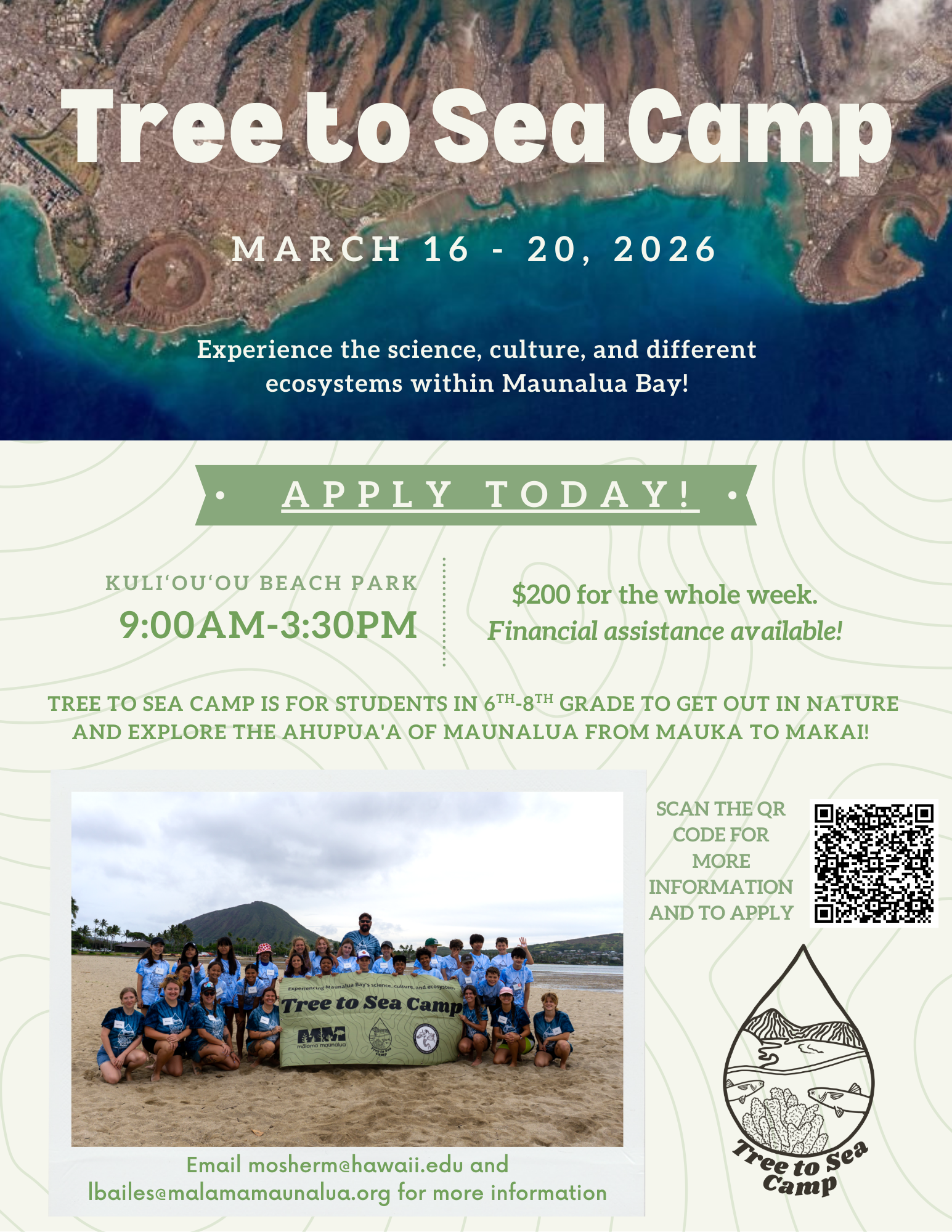 Tree to sea camp 2026