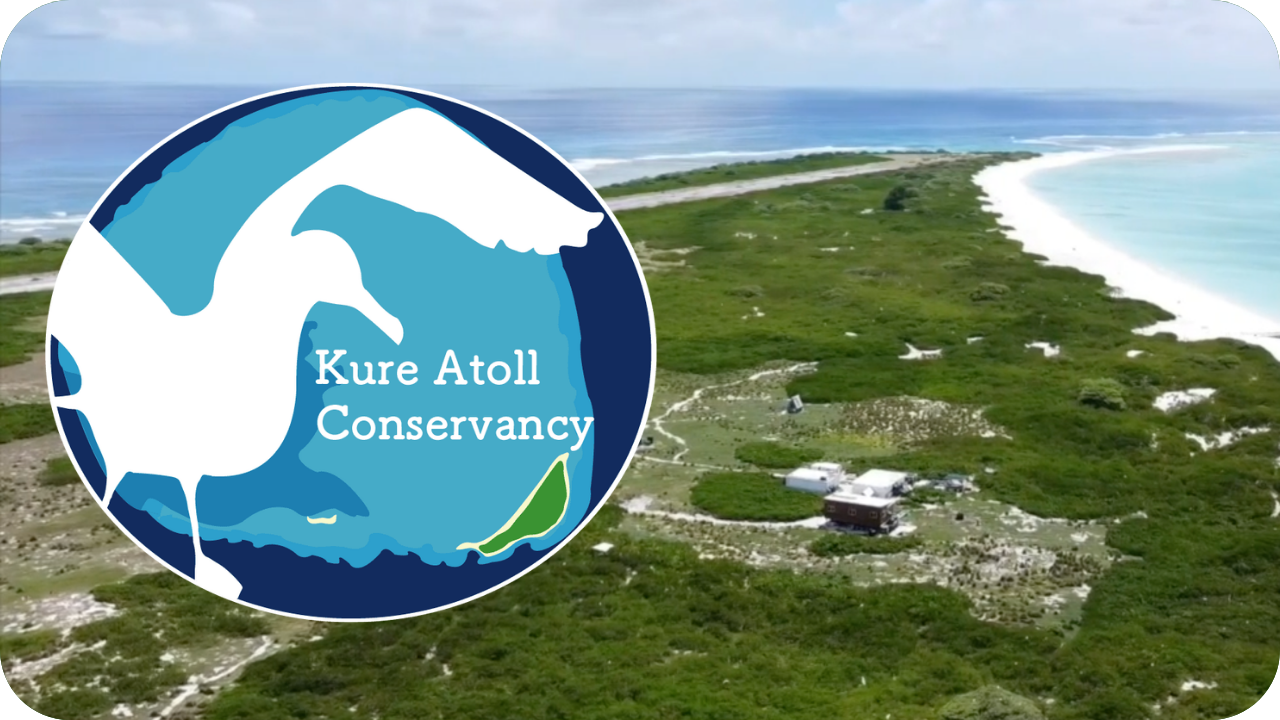 Kure Atoll Conservancy