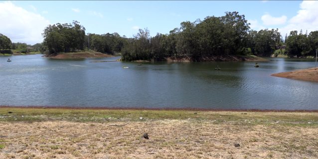 Photo from shore overlooking the water of Wahiawā Reservoir (also known as Lake Wilson), 05-12-2022.