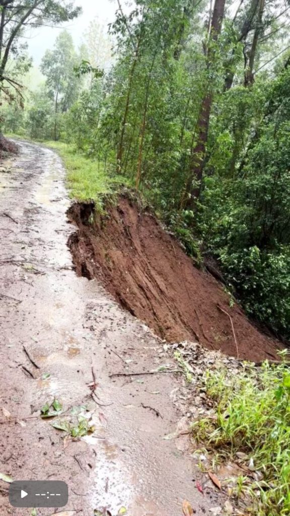 View looking up the incline of a red-brown dirt road with grass and tall trees on the right. The road is heavily eroded on the right side which drops into a steep decline.