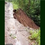 View looking up the incline of a red-brown dirt road with grass and tall trees on the right. The road is heavily eroded on the right side which drops into a steep decline.
