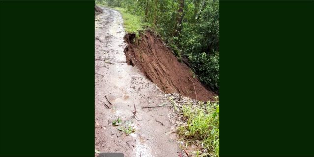 View looking up the incline of a red-brown dirt road with grass and tall trees on the right. The road is heavily eroded on the right side which drops into a steep decline.