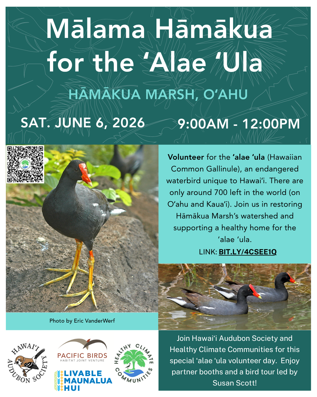 Mālama Hāmākua for the ʻAlae ʻUla