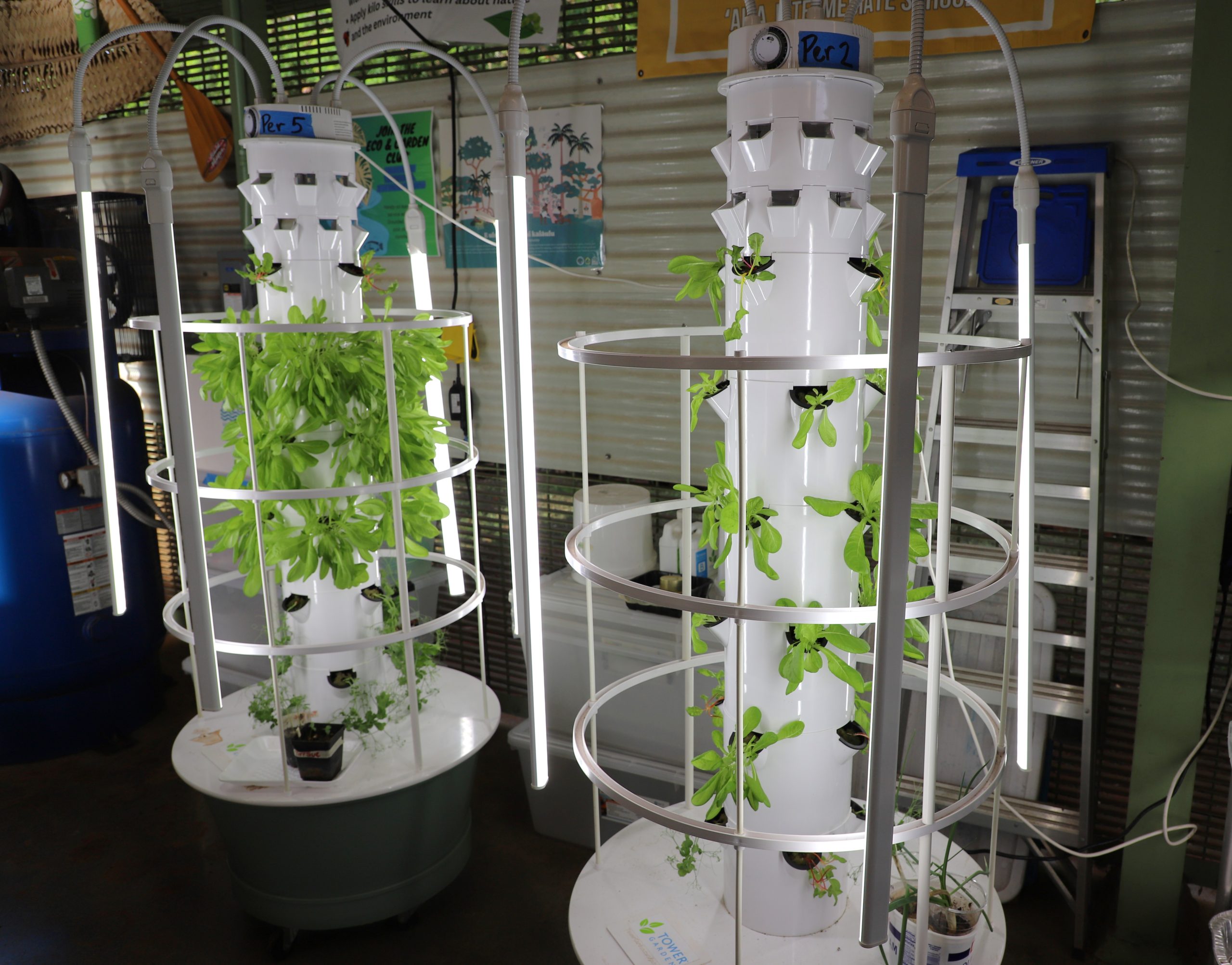 4/29/26 – MORE TREES COMING TO HAWAIʻI SCHOOL CAMPUSES