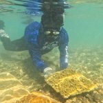 Snorkeler underwater placing pyramid shaped coral growth on sandy bottom of ocean