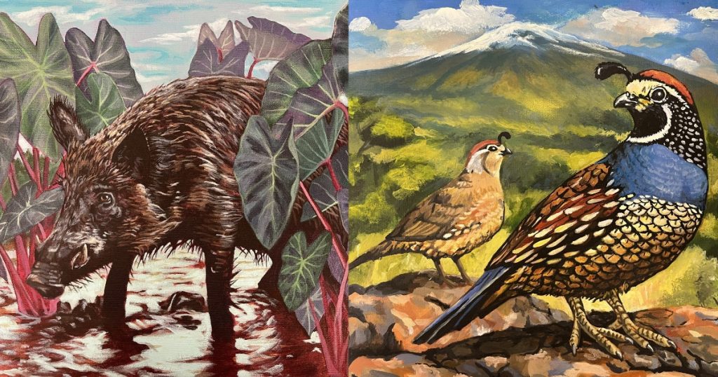Image of Valley Quail artwork and Wild Pig artwork