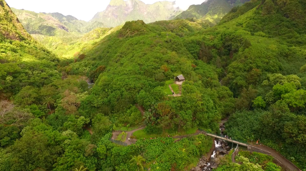 Aerial view of the Iao Valley State Monument showing the bridge structure crossing the Iao Stream.