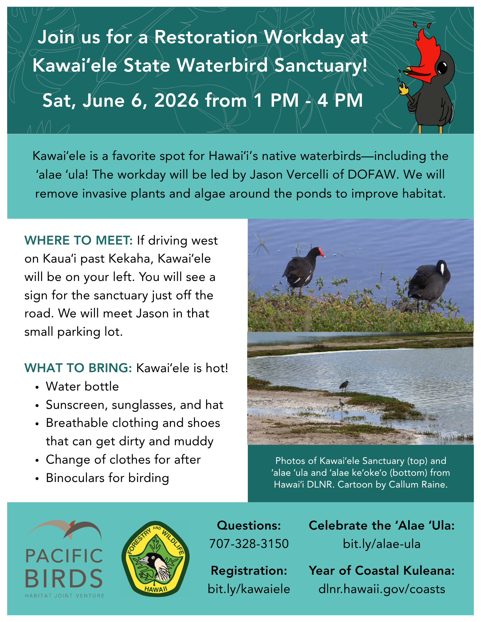 Kawaiʻele Flyer