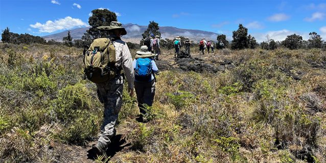 Photo taken from the back of a line of 11 hikers walking across a landscape with shrubs toward a mountain in the background on a sunny blue-sky day.