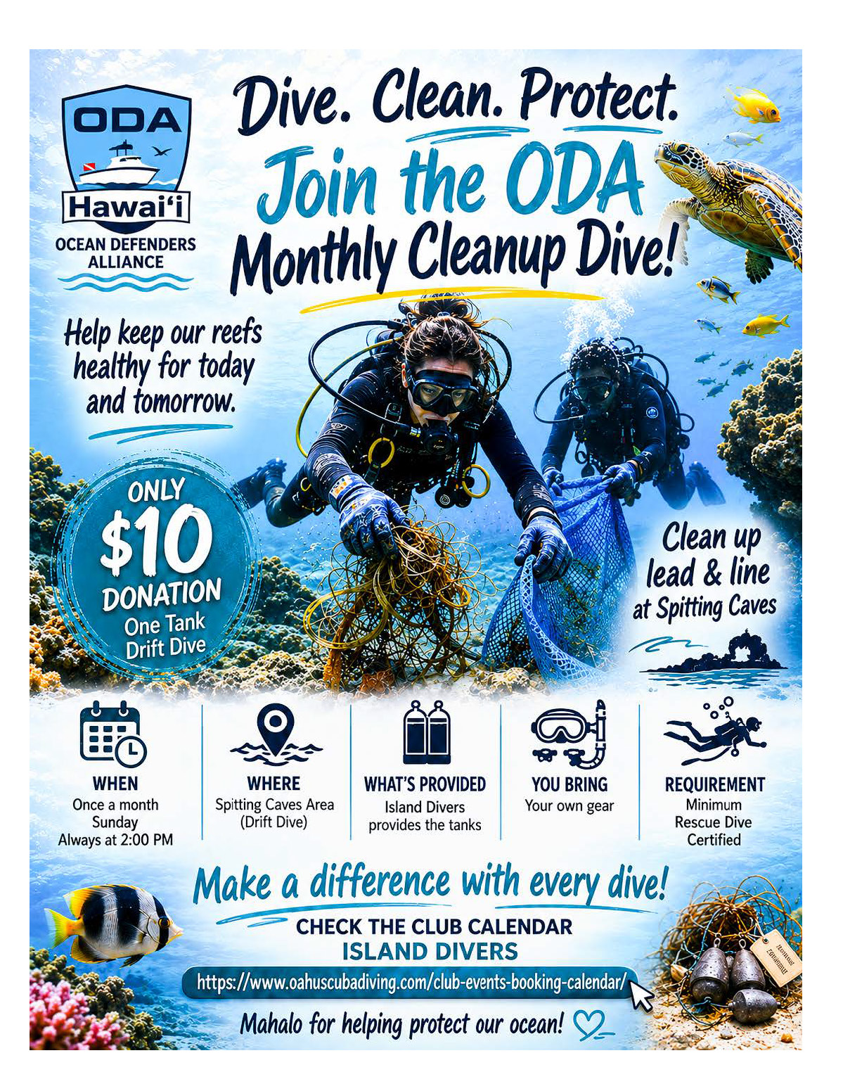 Ocean Defenders Alliance Flyer