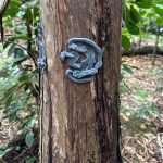 Picture of a tree trunk in a Hawaiʻi forest with two swirls of SPLAT® Verb.